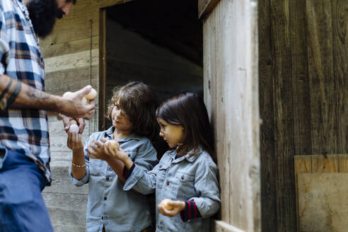 Vater mit zwei Kindern beim Eiersammeln im Hühnerstall auf einem Biohof - SODF00093