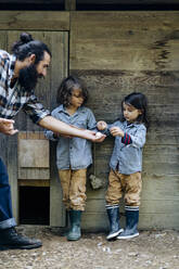 Father with two kids collecting eggs at chicken coop on an organic farm - SODF00096
