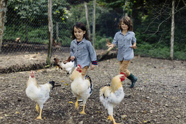 Zwei Kinder jagen Hühner auf einem Biohof - SODF00097