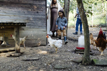 Familie in einem Hühnerstall auf einem Biobauernhof - SODF00098
