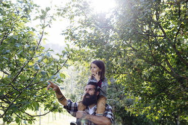 Vater spricht mit Kind auf seinen Schultern im Wald - SODF00102