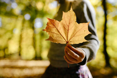 Girl's hand holding autumn leaf, close-up - EYAF00593