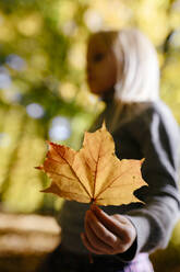 Girl's hand holding autumn leaf, close-up - EYAF00594