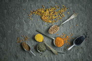Spoons of colorful lentils - ASF06511