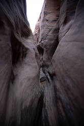 Zebra Canyon im Grand Staircase Escalente National Monument - CAVF65117