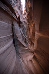 Zebra Canyon im Grand Staircase Escalente National Monument - CAVF65118