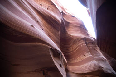 Zebra Canyon im Grand Staircase Escalente National Monument - CAVF65119