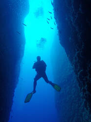 Scuba diver while diving in canyon - CAVF65124