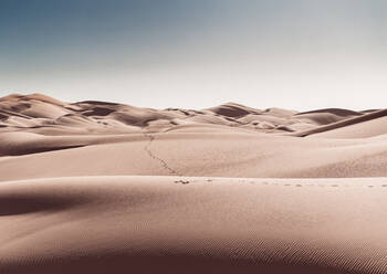 Fußabdrücke in den Sanddünen in der Wüste bei Yuma, AZ - CAVF65150