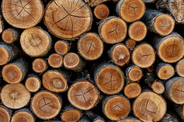 Pile of sawn wood logs for background or texture - CAVF65211