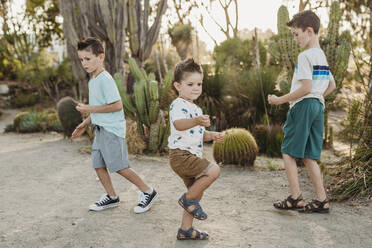 Three young brothers dancing in sunny cactus garden - CAVF65307
