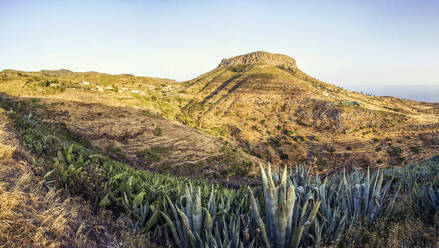 Spain, Canary Islands, La Gomera, Growing agave with Table Mountain in background - MAMF00866