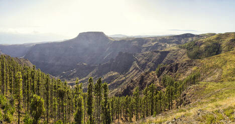 Spanien, Kanarische Inseln, La Gomera, Blick auf den Tafelberg von der Spitze der Felsformation Garajonay aus - MAMF00878