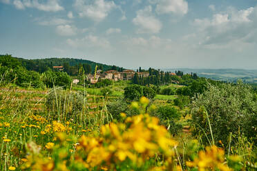Feld mit Blumen und alter Siedlung in Italien - CAVF65342