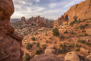 Sunset in the Windows District of Arches National Park, Utah. - CAVF65404