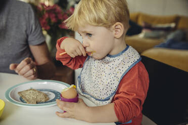 Blond little boy eating breakfast egg - MFF04887