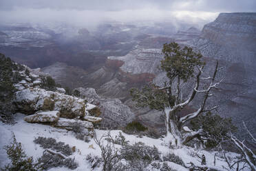 Räumender Wintersturm am Grand Canyon - CAVF65434