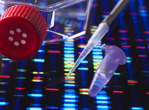 Genetische Forschung, DNA-Probe und Ergebnisse während eines Experiments. - CAVF65455