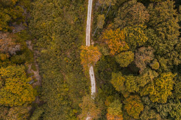 Austria, Lower Austria, Aerial view of gravel road in autumn forest - HMEF00620