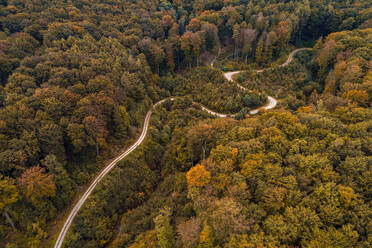 Österreich, Niederösterreich, Luftaufnahme einer kurvenreichen Schotterstraße durch einen ausgedehnten Herbstwald - HMEF00627