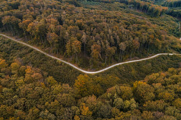 Austria, Lower Austria, Aerial view of winding gravel road through vast autumn forest - HMEF00628