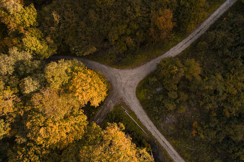 Austria, Lower Austria, Aerial view of junction of gravel road in autumn forest - HMEF00629