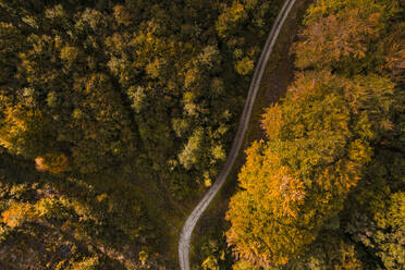 Austria, Lower Austria, Aerial view of gravel road in autumn forest - HMEF00630