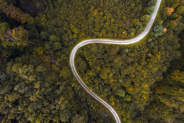 Österreich, Niederösterreich, Luftaufnahme einer kurvenreichen Schotterstraße durch einen ausgedehnten Herbstwald - HMEF00631
