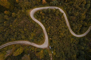 Austria, Lower Austria, Aerial view of winding gravel road through vast autumn forest - HMEF00632