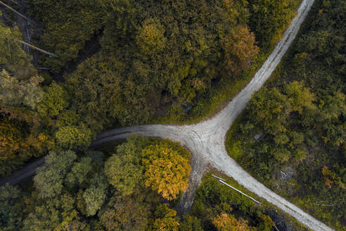 Austria, Lower Austria, Aerial view of junction of gravel road in autumn forest - HMEF00633