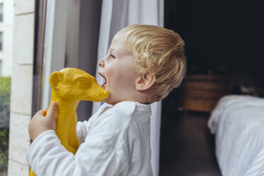 Kleiner Junge umarmt platisches Erdmännchen und schaut aus dem Fenster - MFF04912