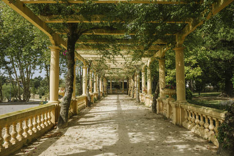 Blick auf eine schöne Passage voller Pflanzen im Park, Aveiro, Portugal, lizenzfreies Stockfoto