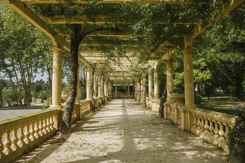 Blick auf eine schöne Passage voller Pflanzen im Park, Aveiro, Portugal - AHSF00937