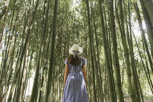 Rückansicht einer Frau in einem Bambuswald, Aveiro, Portugal - AHSF00941