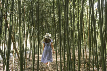 Rückansicht einer Frau, die in einem Bambuswald spazieren geht, Aveiro, Portugal - AHSF00943