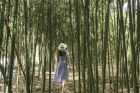 Rear view of woman walking in a bamboo forest, Aveiro, Portugal - AHSF00943