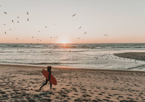 Rückansicht eines laufenden Surfers am Strand bei Sonnenuntergang, Costa Nova, Portugal - AHSF00954