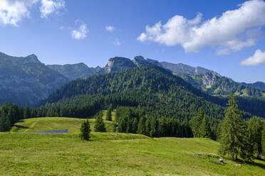 Germany, Bavaria, Arzbach, Scenic view of forested Benediktenwand ridge - LBF02738