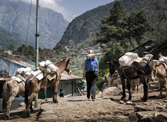 Junge Frau trägt Rucksack, Phakding, Solo Khumbu, Nepal - ALRF01578