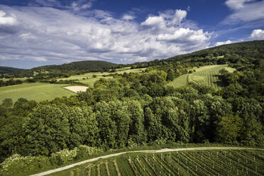 Österreich, Niederösterreich, Luftaufnahme von grünen bewaldeten Hügeln und Weinbergen - HMEF00634