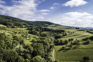 Österreich, Niederösterreich, Luftaufnahme von grünen bewaldeten Hügeln und Weinbergen - HMEF00636