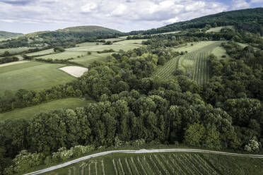 Österreich, Niederösterreich, Luftaufnahme von grünen bewaldeten Hügeln und Weinbergen - HMEF00640
