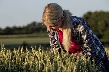 Young woman in a grain field - FLLF00308