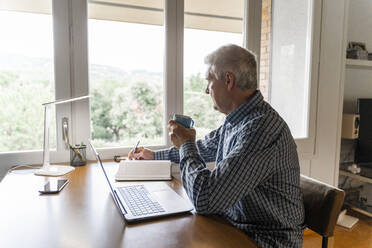 Älterer Mann sitzt zu Hause vor einem Laptop und macht sich Notizen - AFVF04112