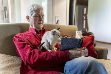Älterer Mann mit Kätzchen auf dem Sofa sitzend und ein Buch lesend - AFVF04129