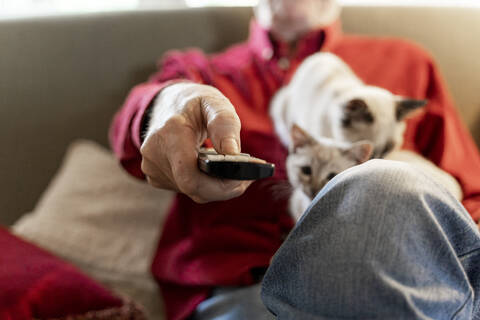 Älterer Mann mit Kätzchen auf dem Sofa sitzend und die Fernbedienung haltend, lizenzfreies Stockfoto