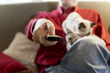 Senior man with kittens siiting on sofa holding remote control - AFVF04130