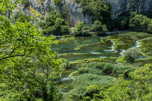 Kroatien, Grüner Teich im Nationalpark Roski Slap - NGF00533