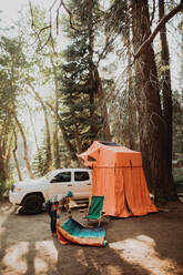Mittlere erwachsene Frau, die ihren Schlafsack auf einem Waldcampingplatz entfaltet, Mineral King, Kalifornien, USA - ISF22356