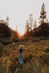 Junge Frau in Maxikleid und Stetson beobachtet Sonnenuntergang in ländlichem Tal, Rückansicht, Mineral King, Kalifornien, USA - ISF22415